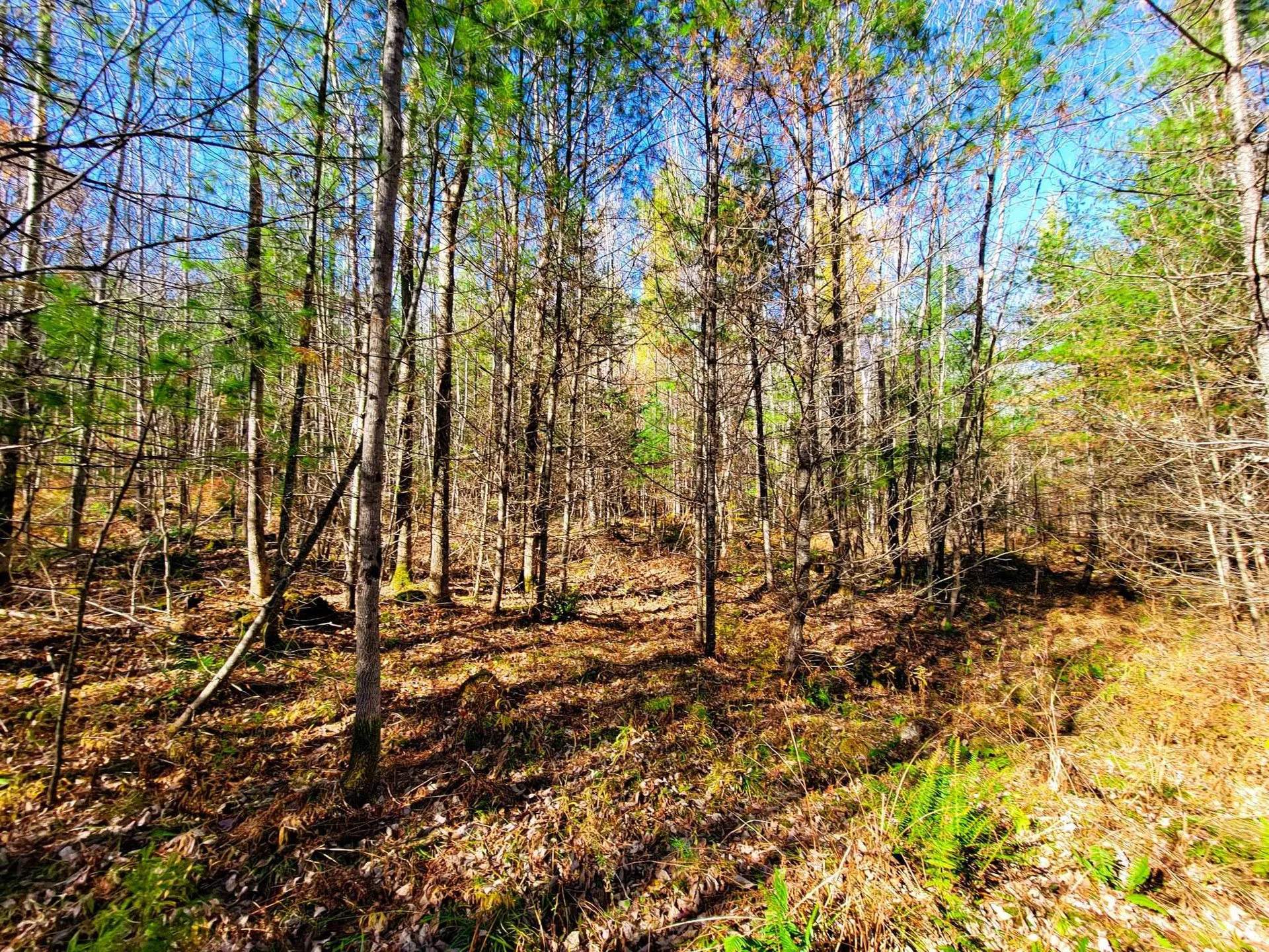 60 Kidder Road Bradford VT 05033