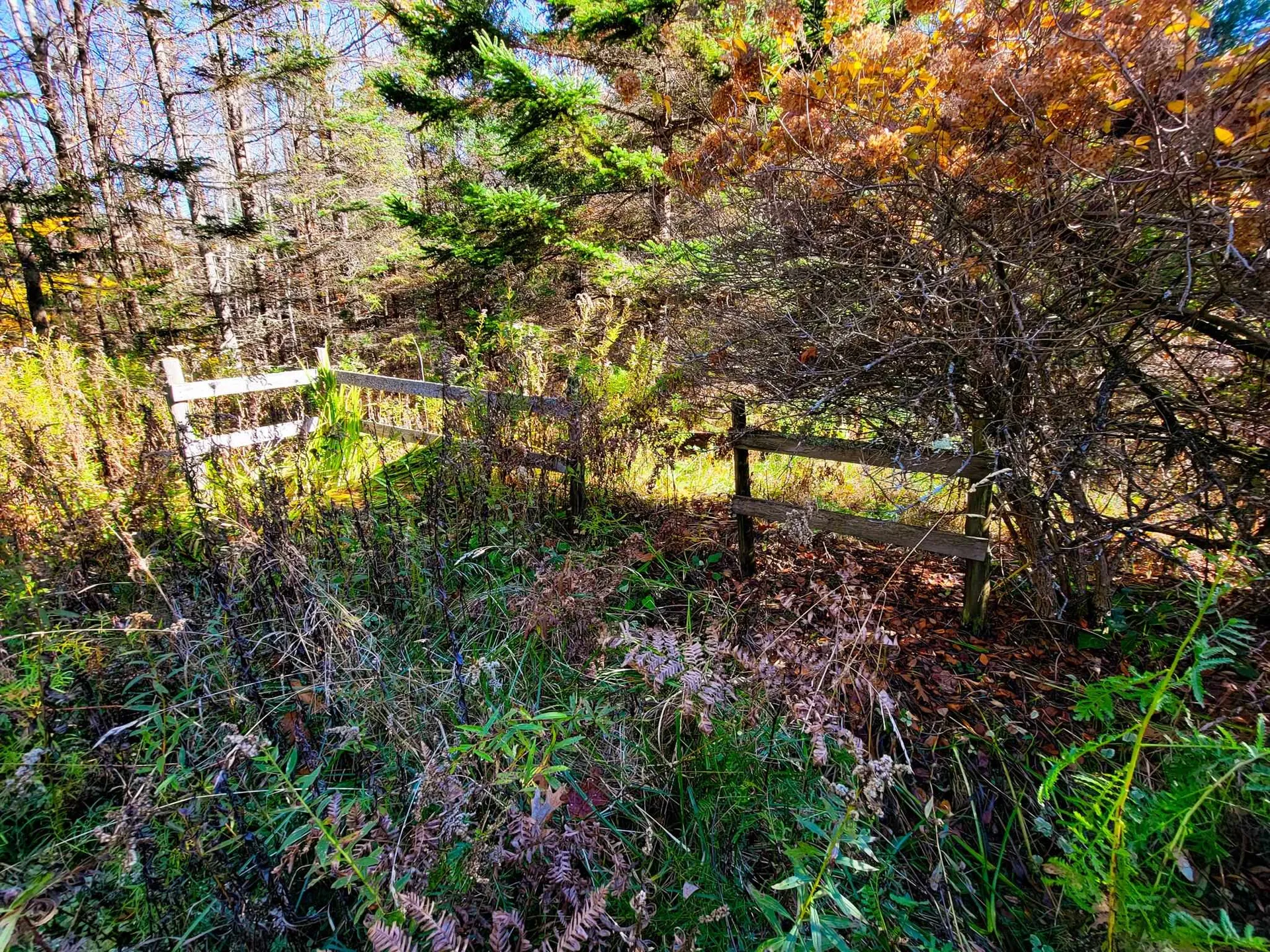 60 Kidder Road Bradford VT 05033