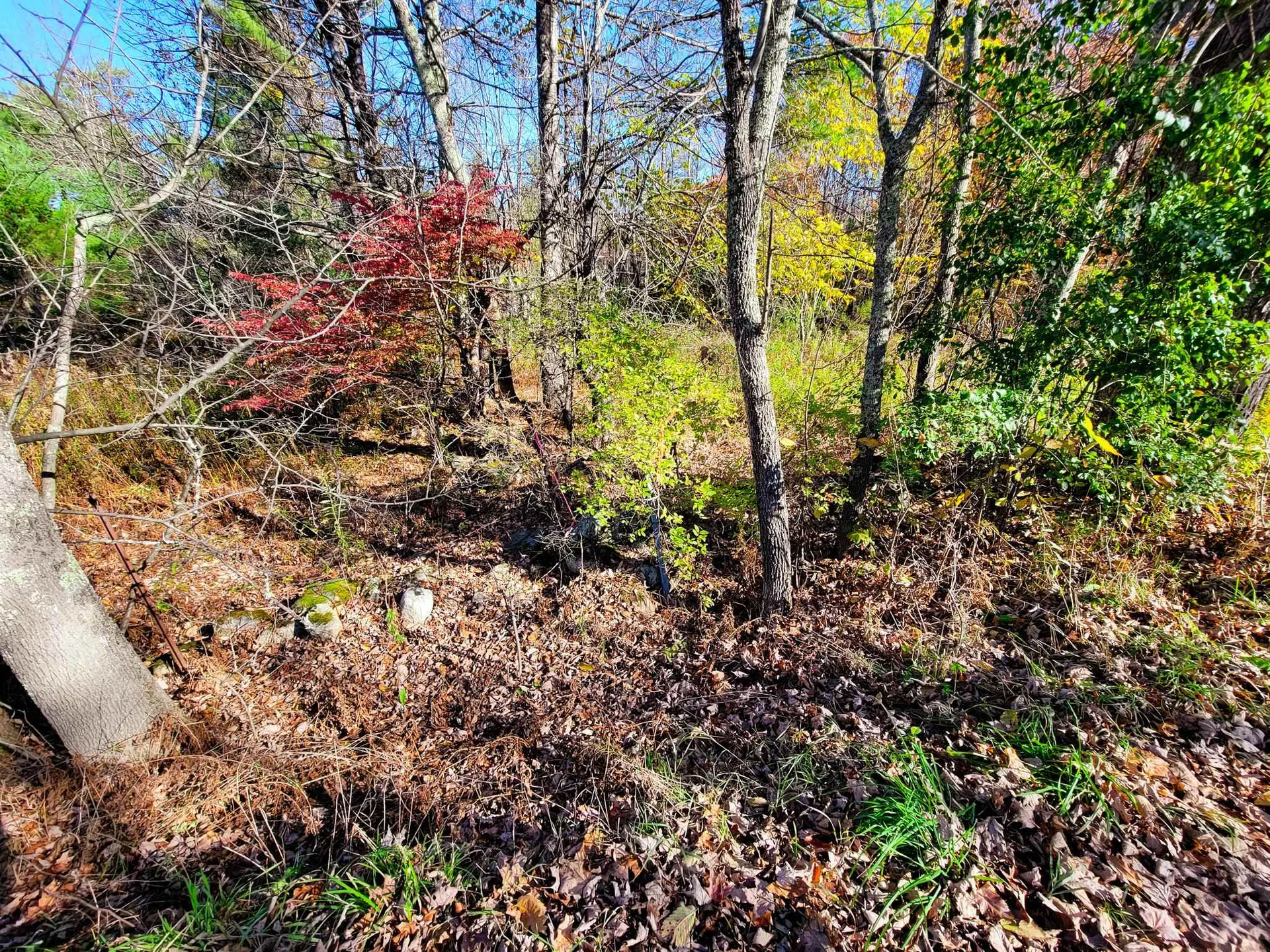 60 Kidder Road Bradford VT 05033