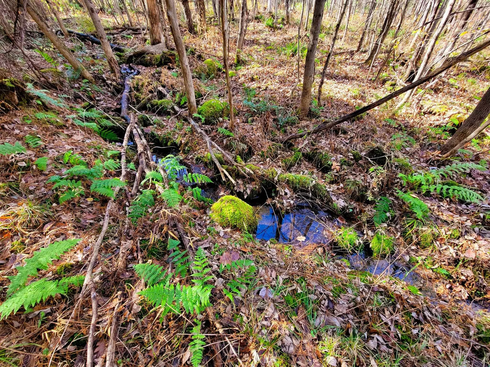 60 Kidder Road Bradford VT 05033