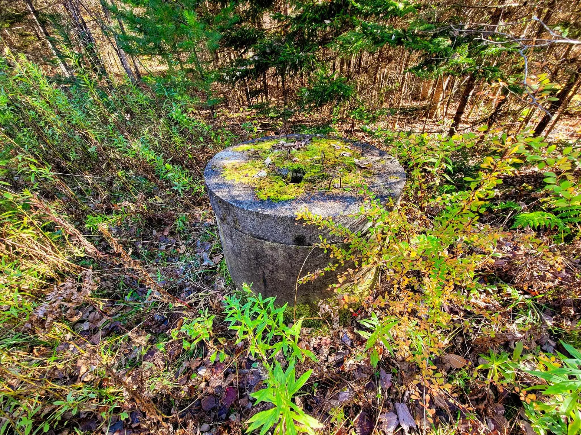60 Kidder Road Bradford VT 05033
