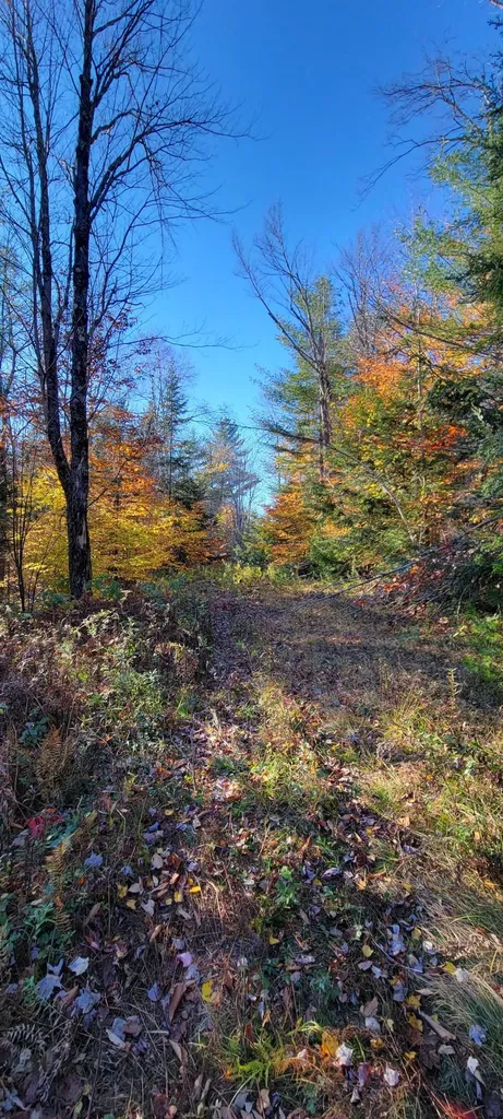 0 Mansfield Lane Londonderry VT 05148