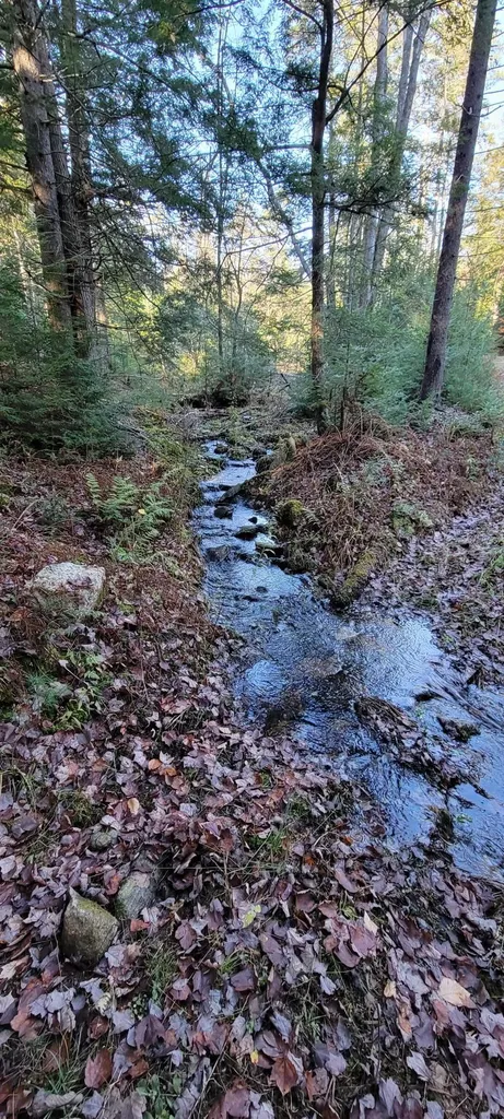 0 Mansfield Lane Londonderry VT 05148