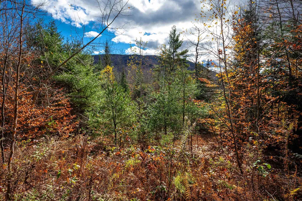 0 Mansfield Lane Londonderry VT 05148