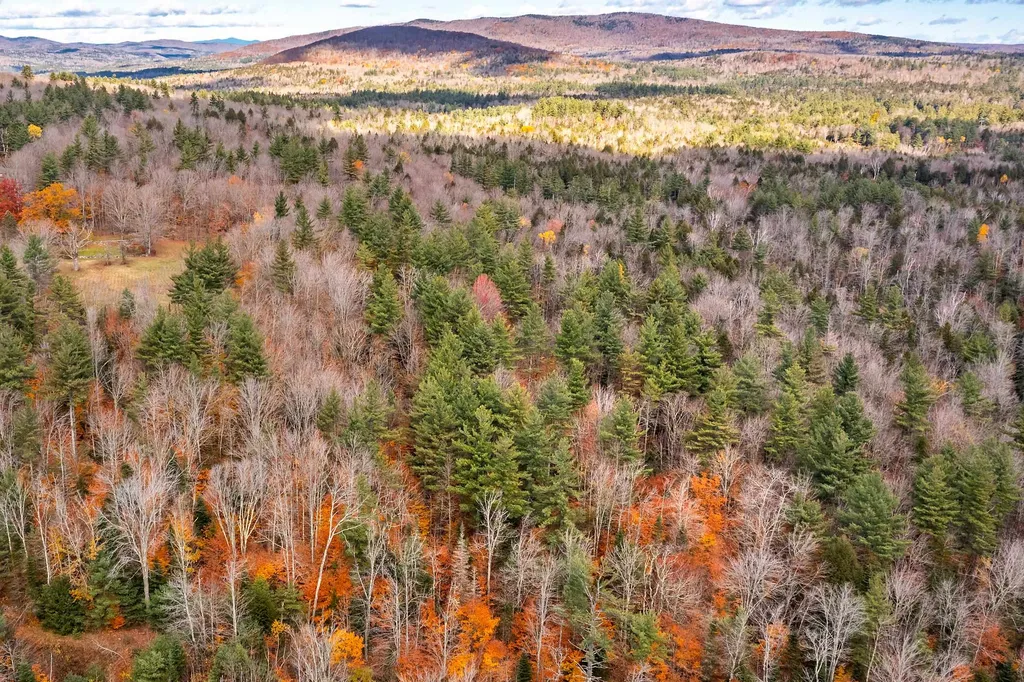 0 Mansfield Lane Londonderry VT 05148