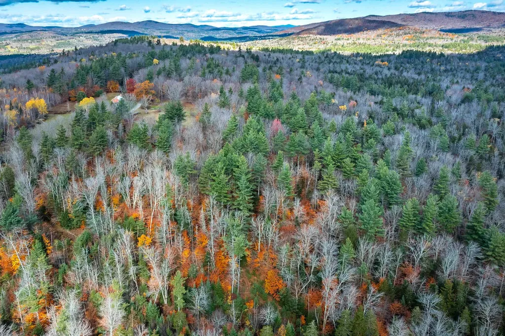 0 Mansfield Lane Londonderry VT 05148