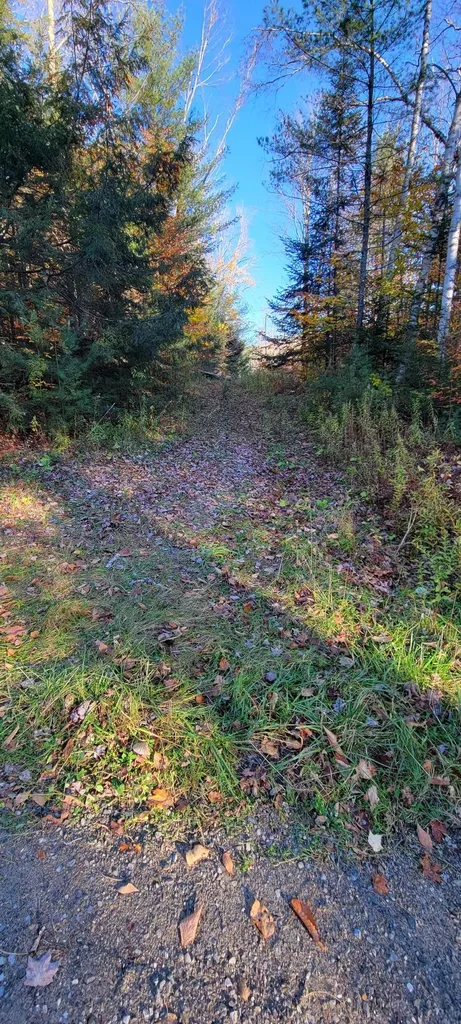 0 Mansfield Lane Londonderry VT 05148