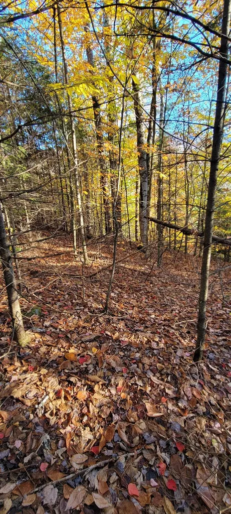 0 Mansfield Lane Londonderry VT 05148