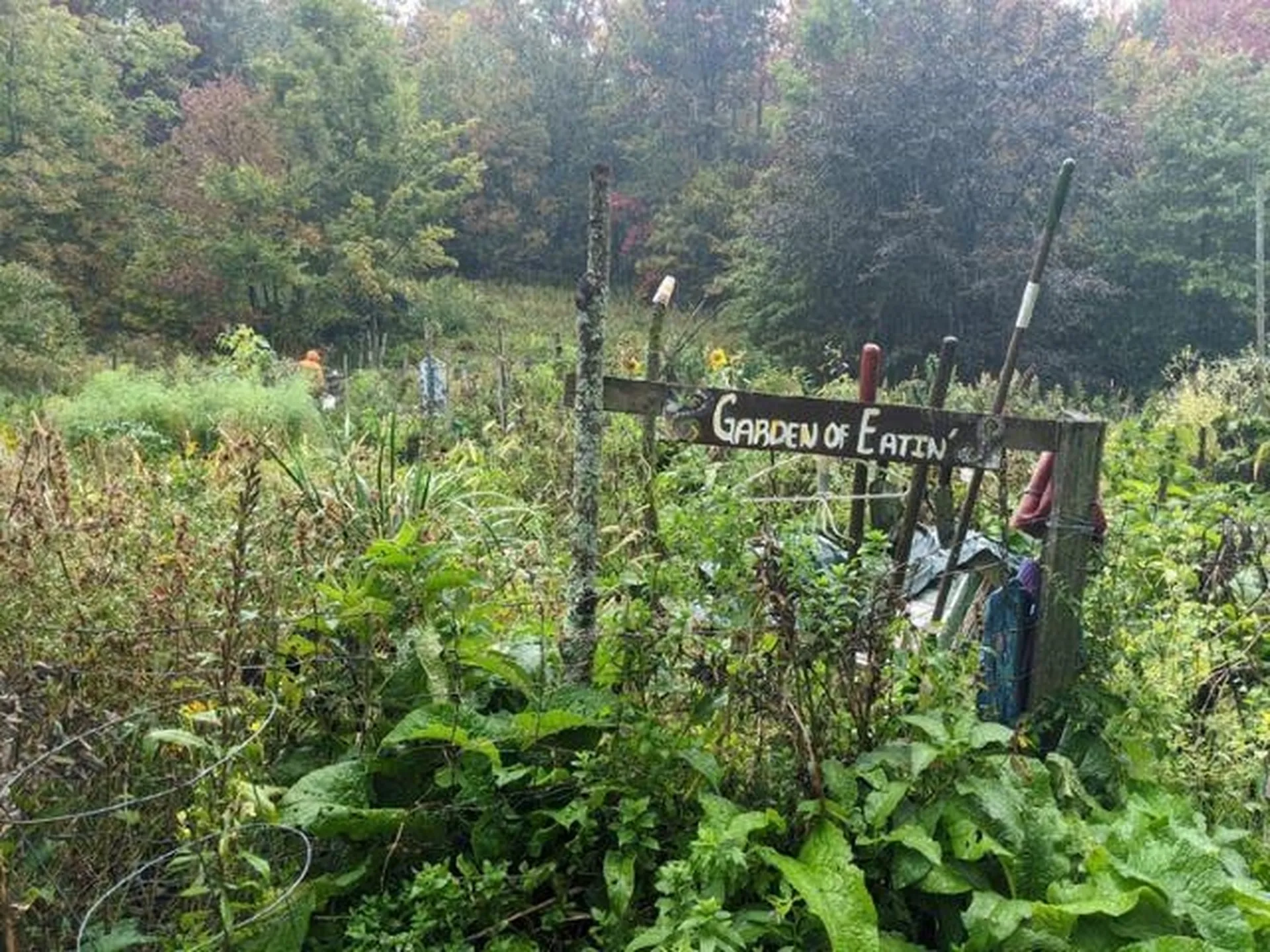 16 Dimetro Road Warren VT 05674