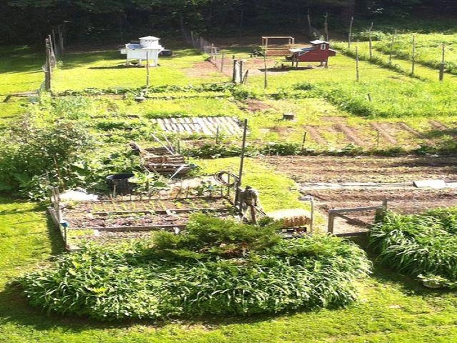 16 Dimetro Road Warren VT 05674