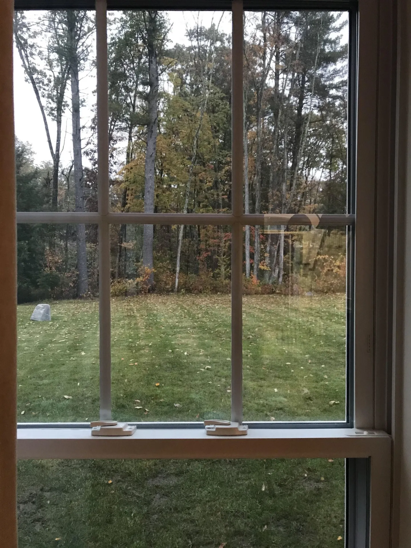 4 Hummingbird Lane Salem NH 03079