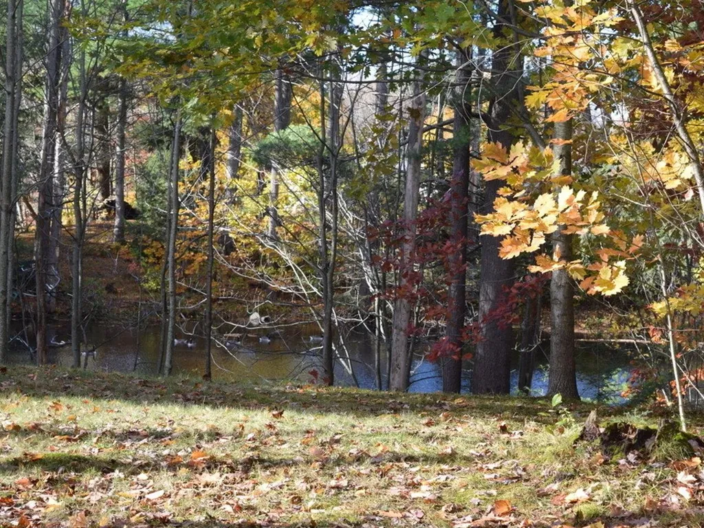 55 Birch Lane Milton VT 05468