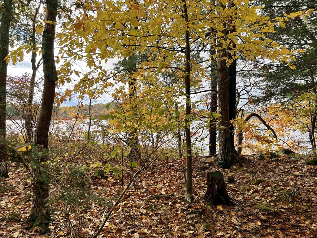 Lot 23 Caldwell Lane Northwood NH 03261