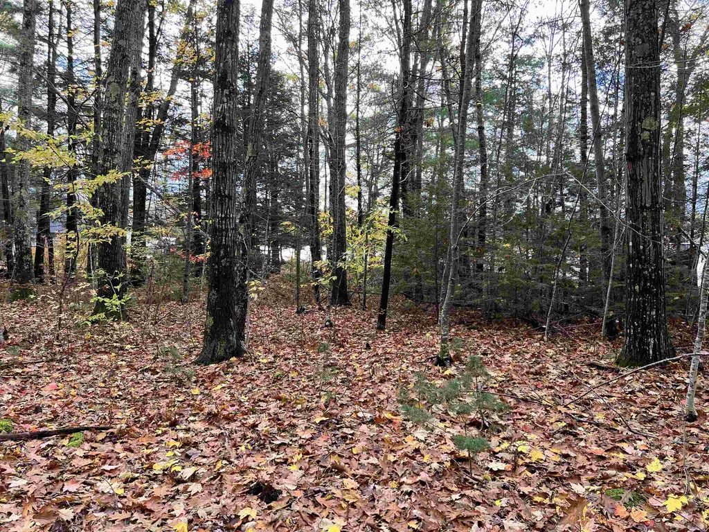 Lot 23 Caldwell Lane Northwood NH 03261