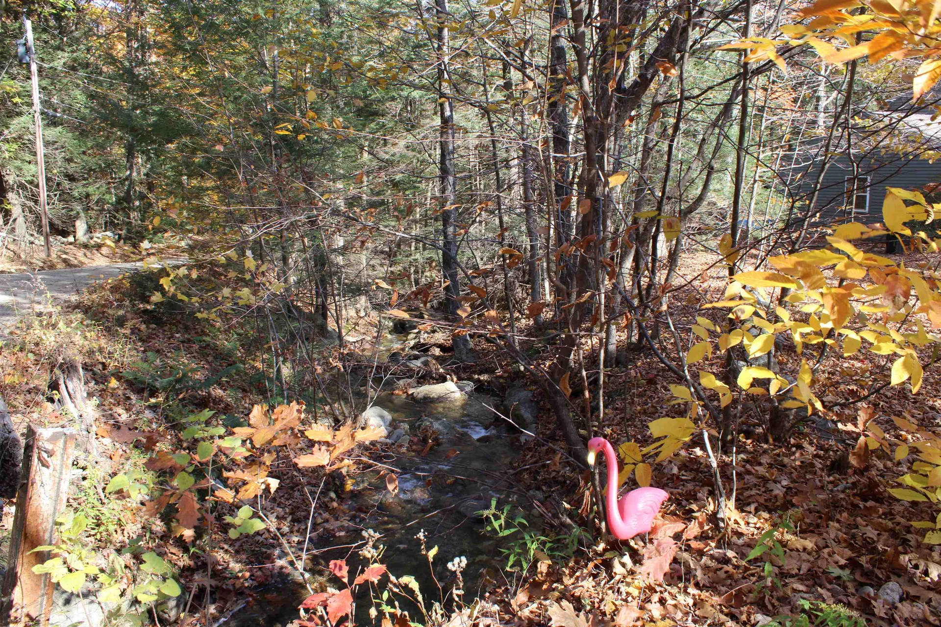 33 Foster Road Temple NH 03084