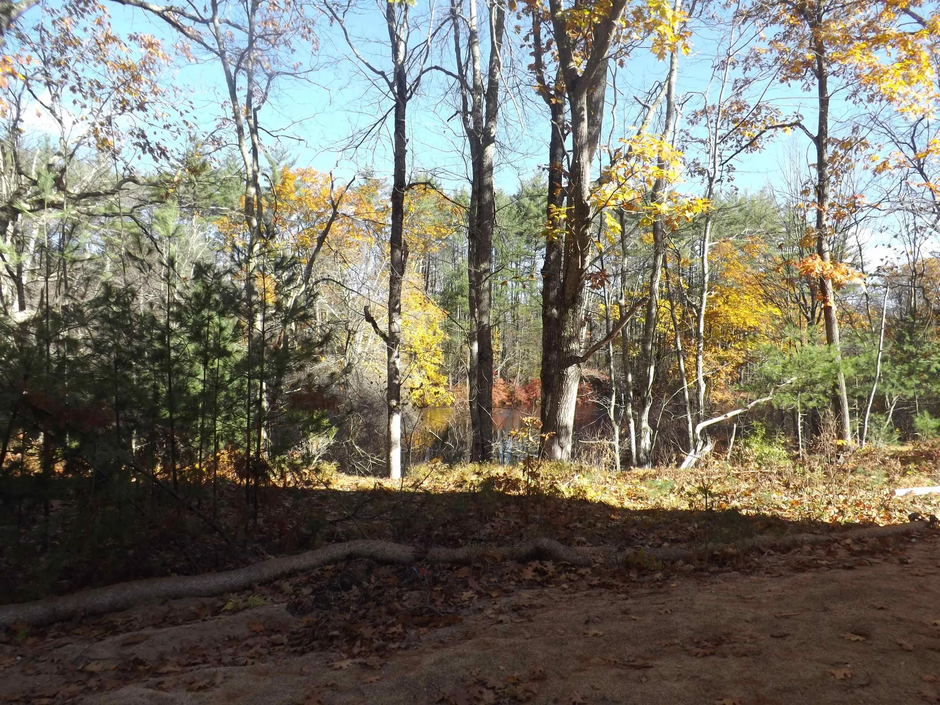 15 Hiltons Lane Rochester NH 03868