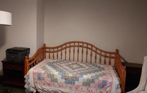 55 Lakewood Pines Road Bristol NH 03222