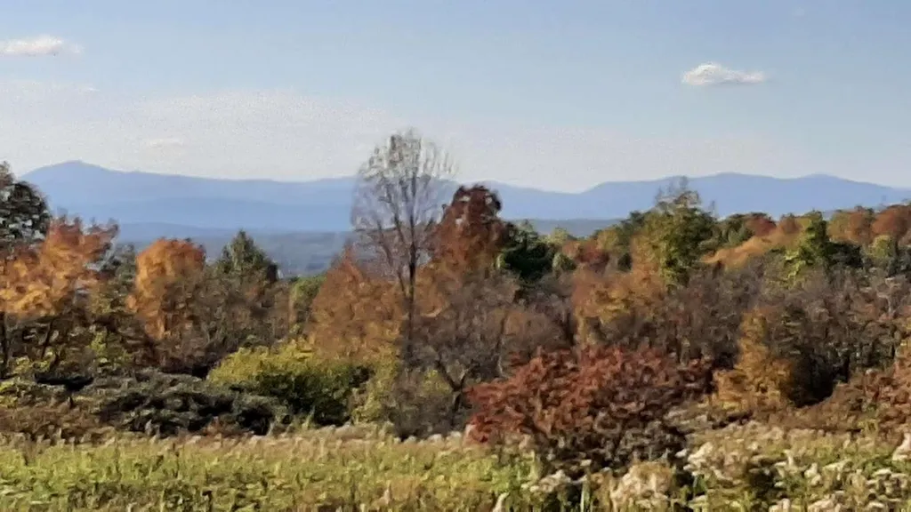696 Applesauce Hill Castleton VT 05735
