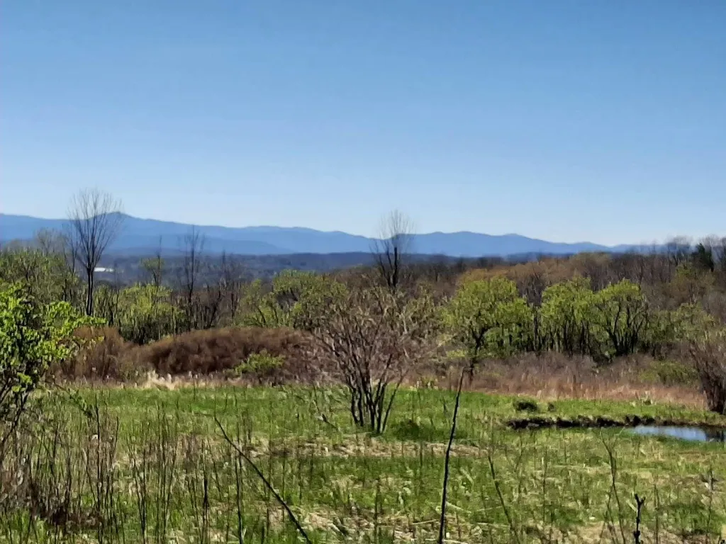 696 Applesauce Hill Castleton VT 05735