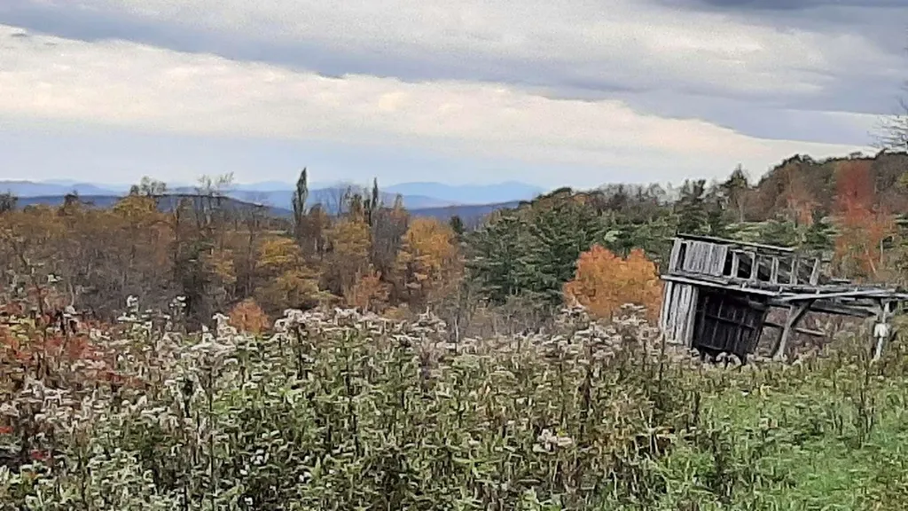 696 Applesauce Hill Castleton VT 05735