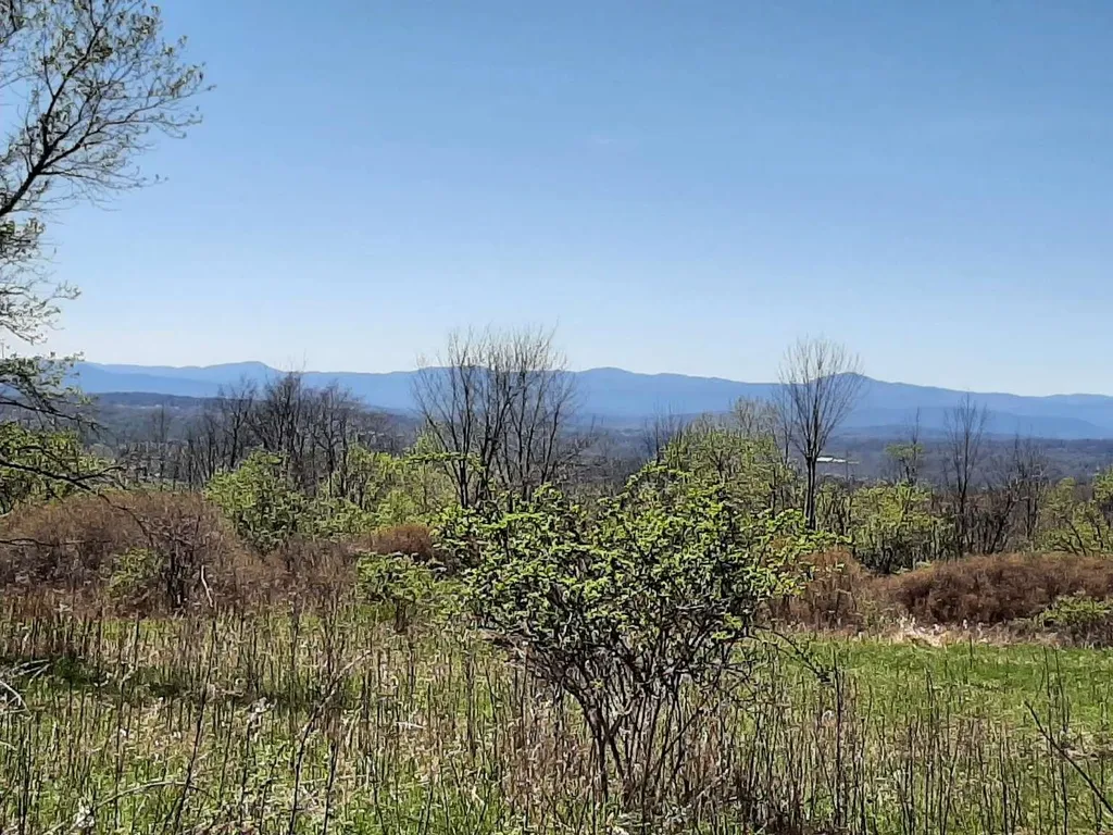 696 Applesauce Hill Castleton VT 05735