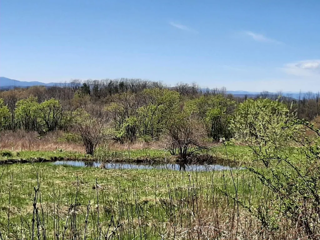 696 Applesauce Hill Castleton VT 05735