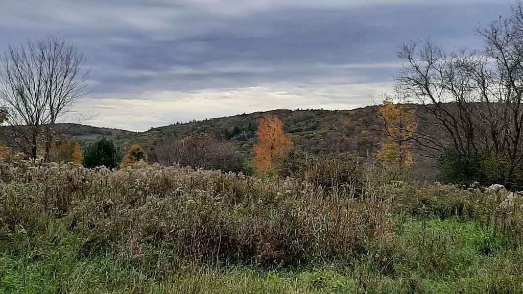 696 Applesauce Hill Castleton VT 05735