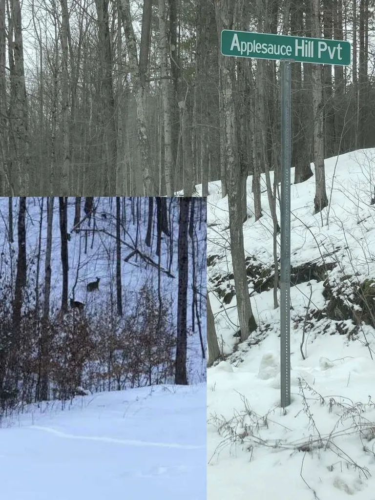 696 Applesauce Hill Castleton VT 05735