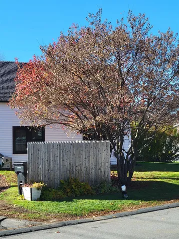 71 Chestnut Street Claremont NH 03743
