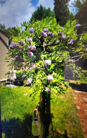 27 Hastings Avenue Keene NH 03431