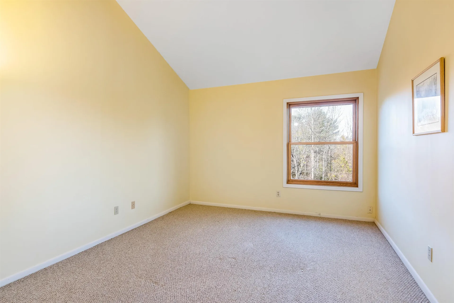 84 Bay Road Shelburne VT 05482