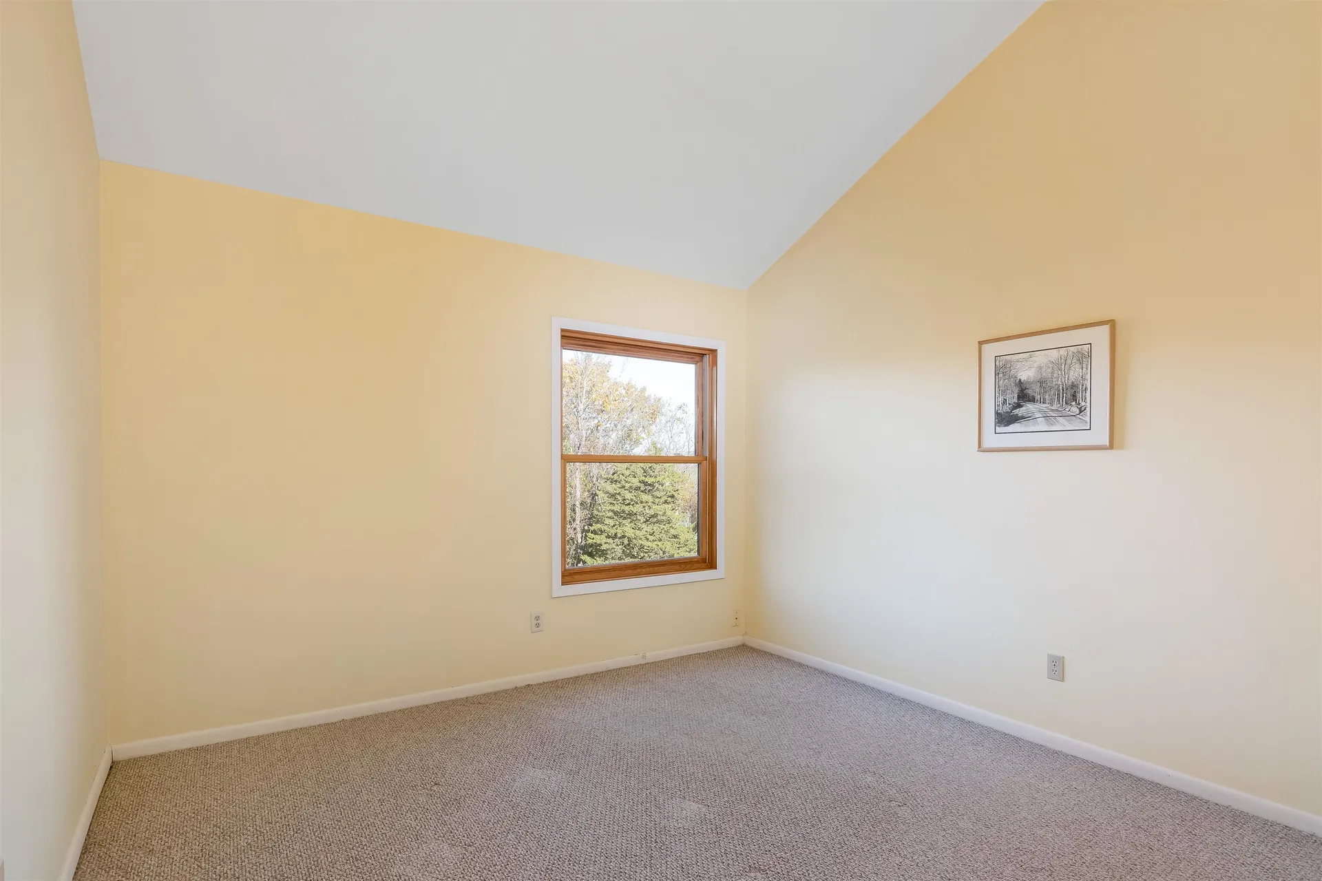 84 Bay Road Shelburne VT 05482