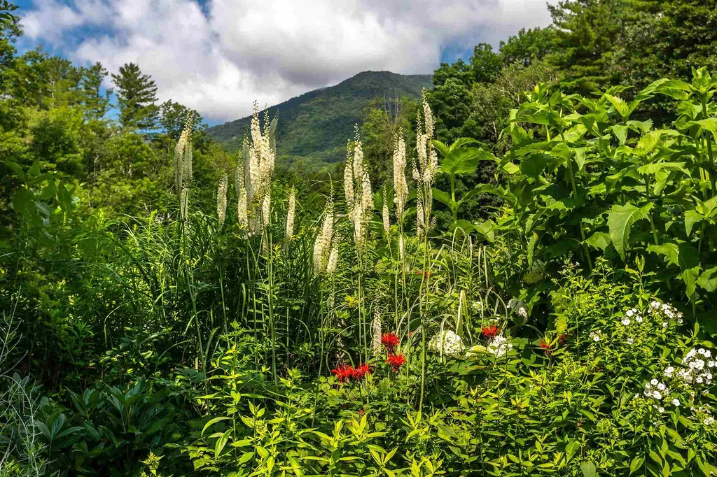 340 Taconic Road Manchester VT 05254