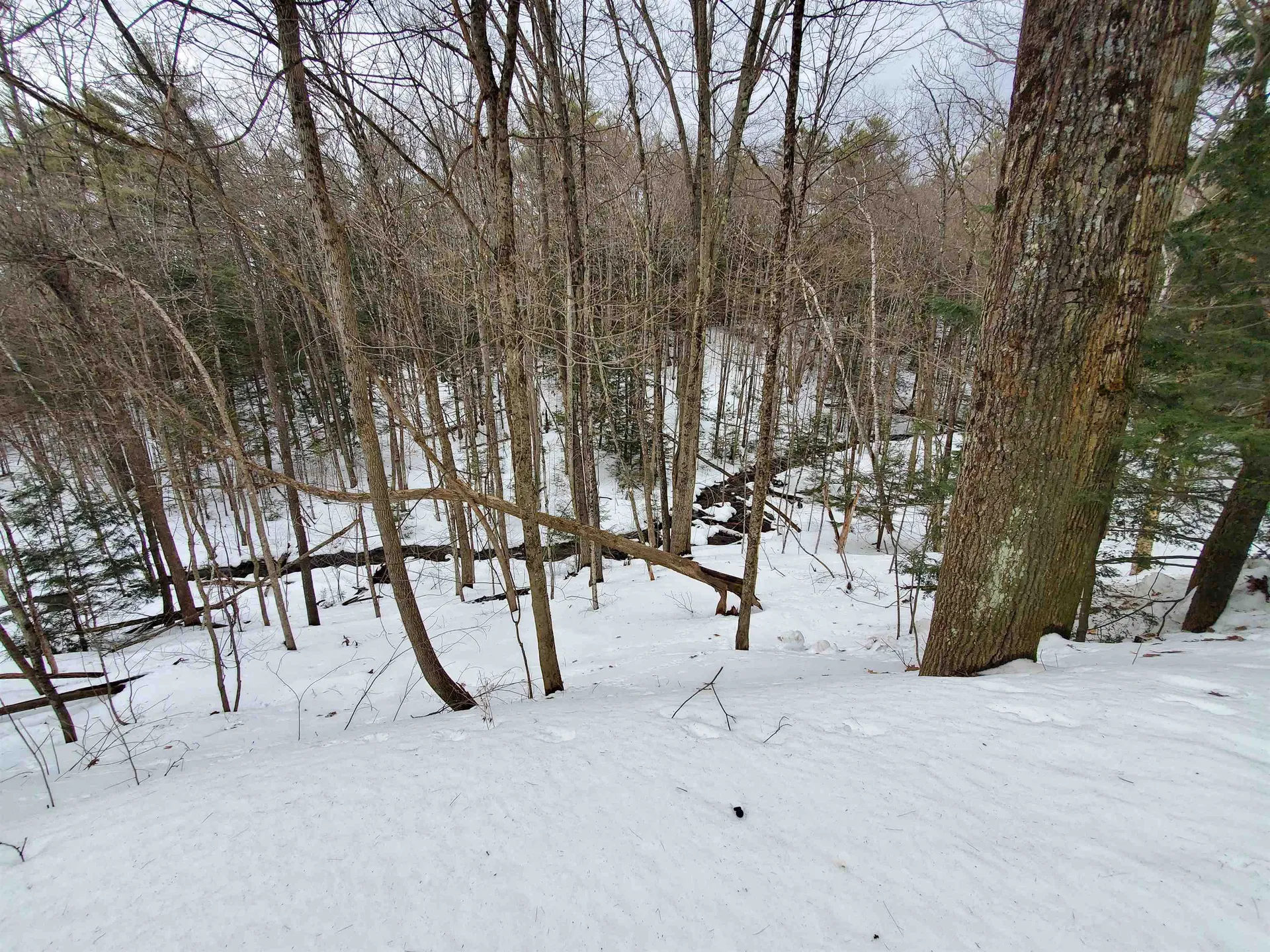 30 Fox Hill Road Canaan NH 03741