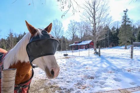 3358 Sugar Hill Road Wallingford VT 05742