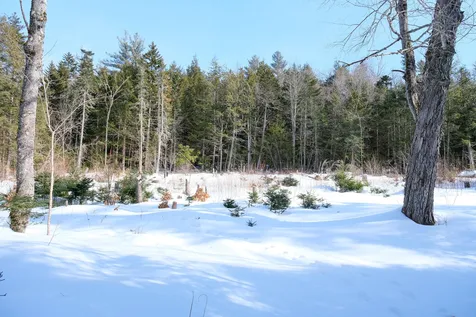 3358 Sugar Hill Road Wallingford VT 05742