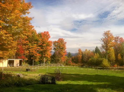 3358 Sugar Hill Road Wallingford VT 05742