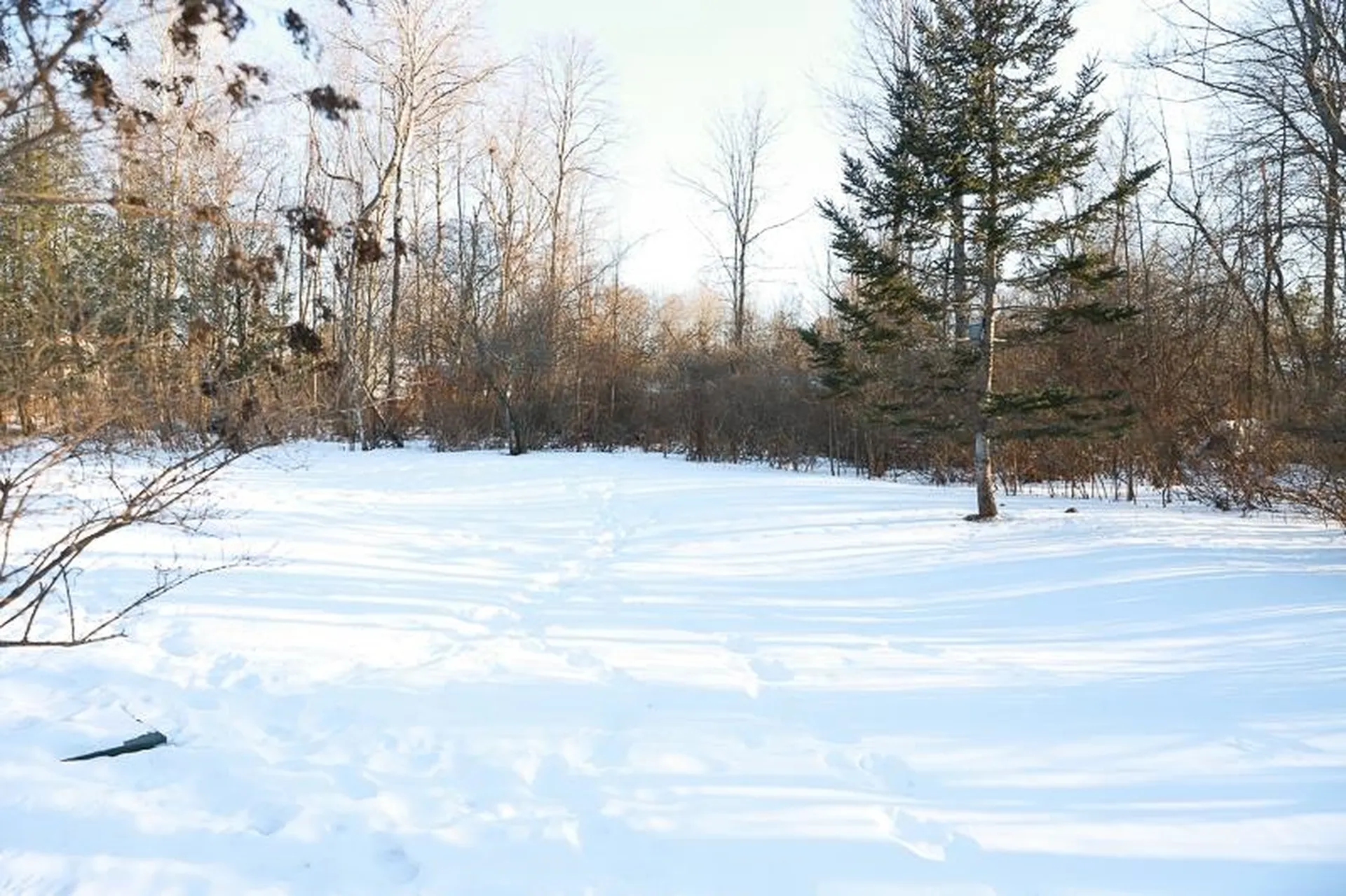 97 Creekside Drive Shelburne VT 05482