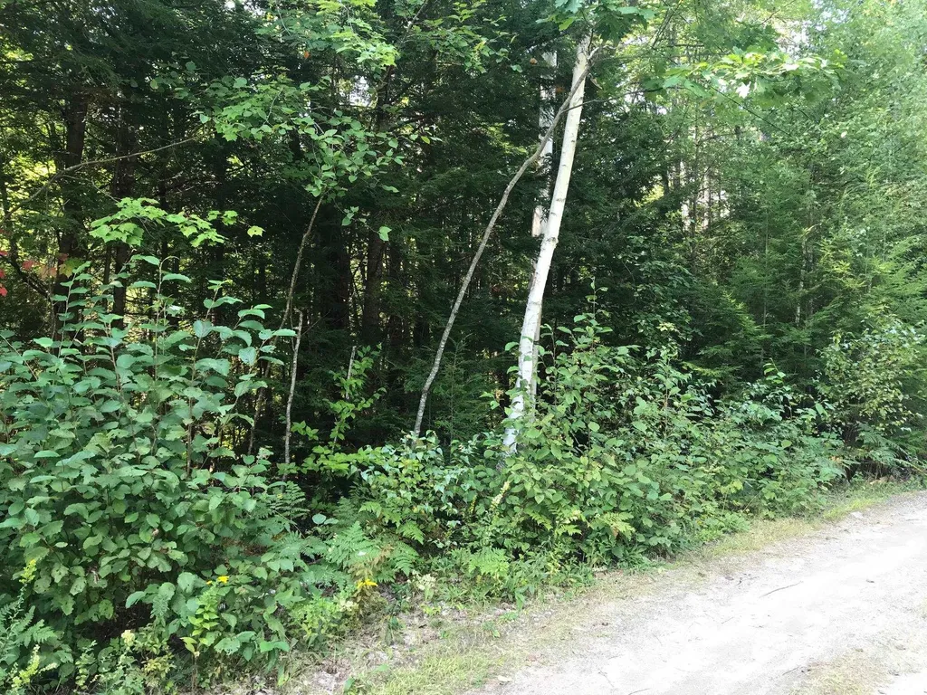 115/7 James Terrace Ossipee NH 03864