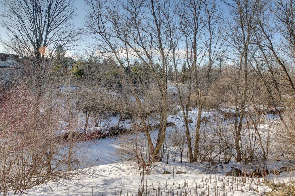 64 Seth Circle Williston VT 05495