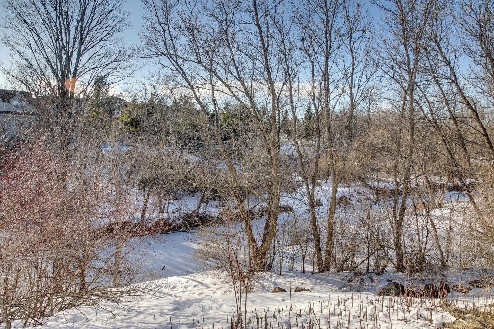 64 Seth Circle Williston VT 05495