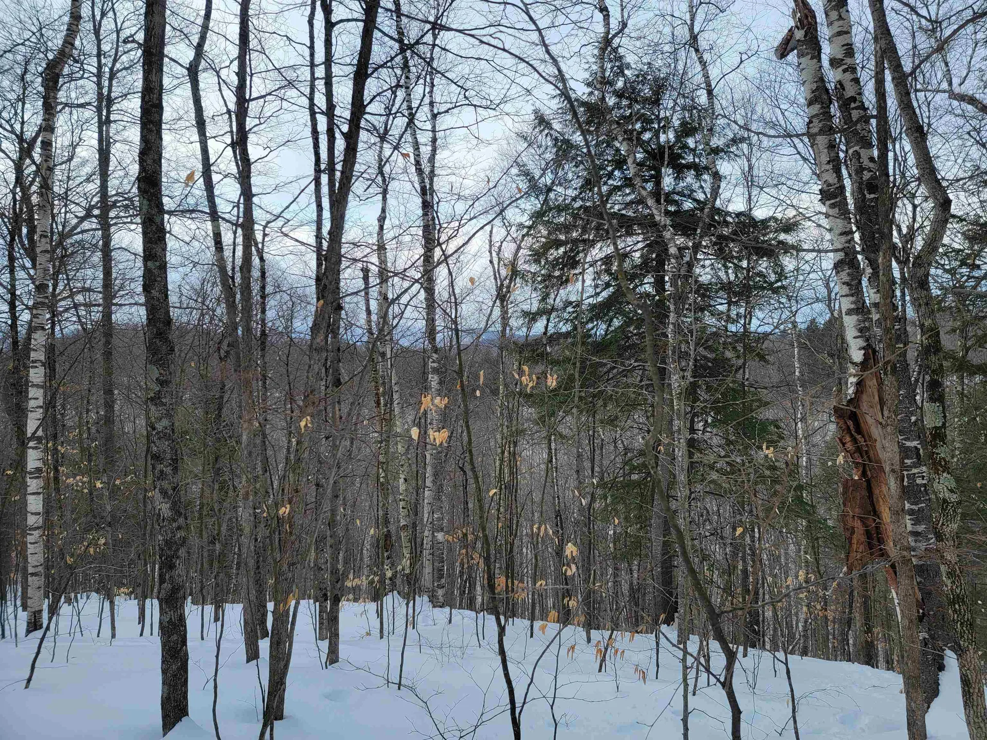 00 O'donnell Farm Road Sharon VT 05065