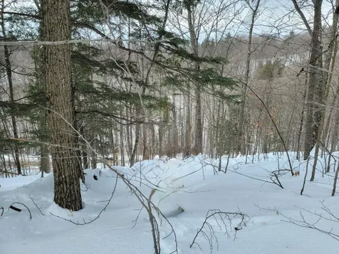 00 O'donnell Farm Road Sharon VT 05065