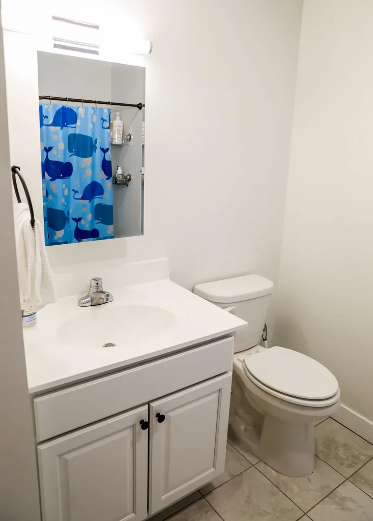 251 Mountainside Drive Warren VT 05674