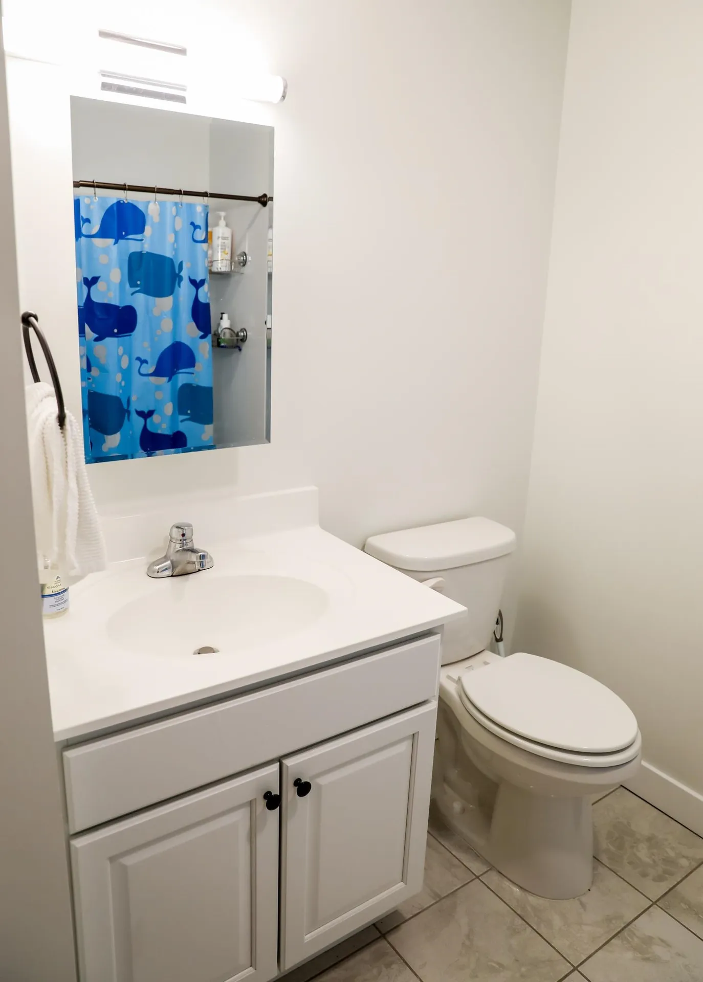251 Mountainside Drive Warren VT 05674
