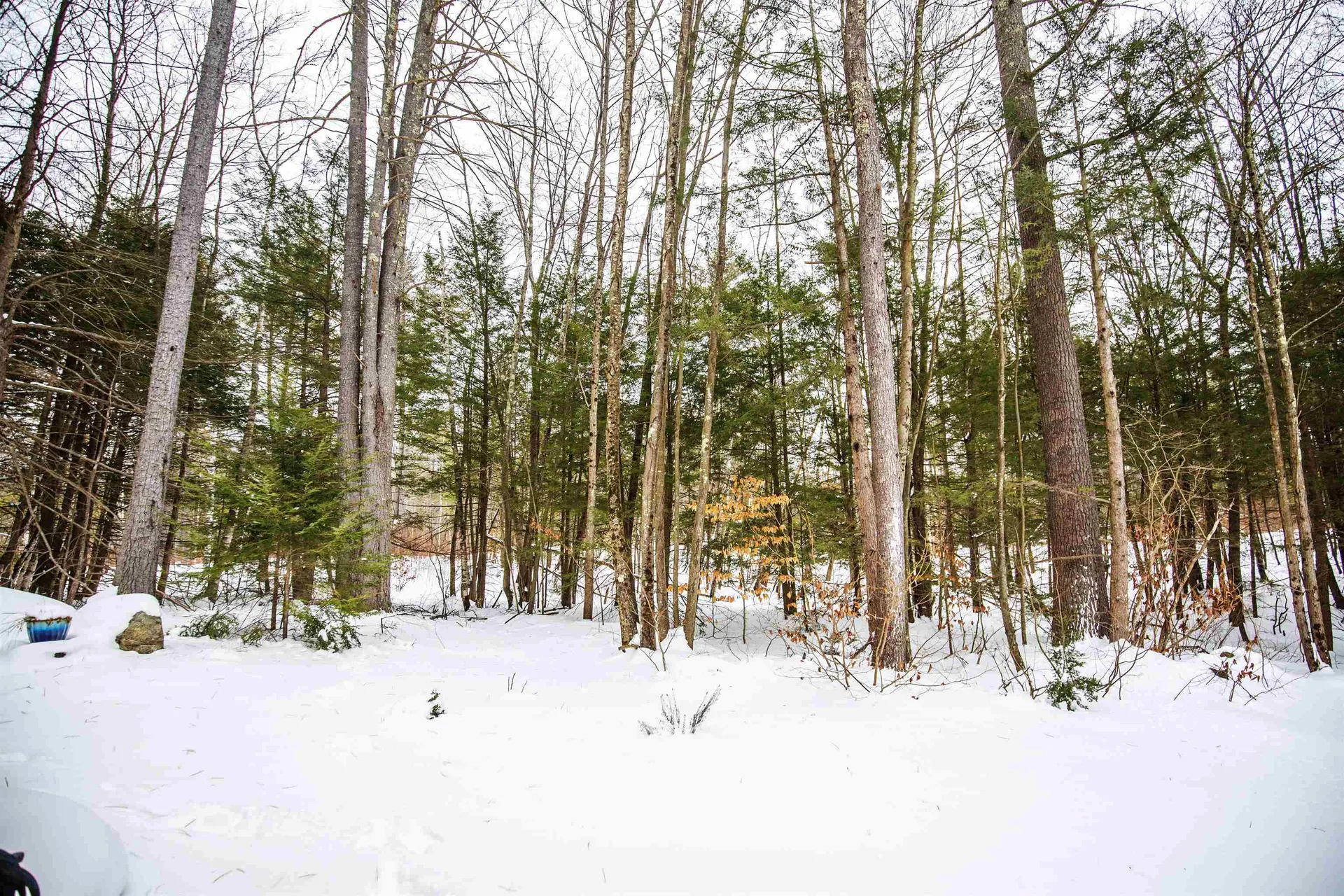 21 Hawthorne Drive Fremont NH 03044