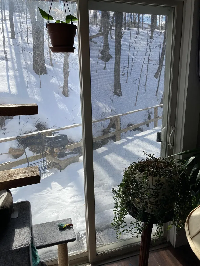 77 Pleasant Street Woodstock VT 05091