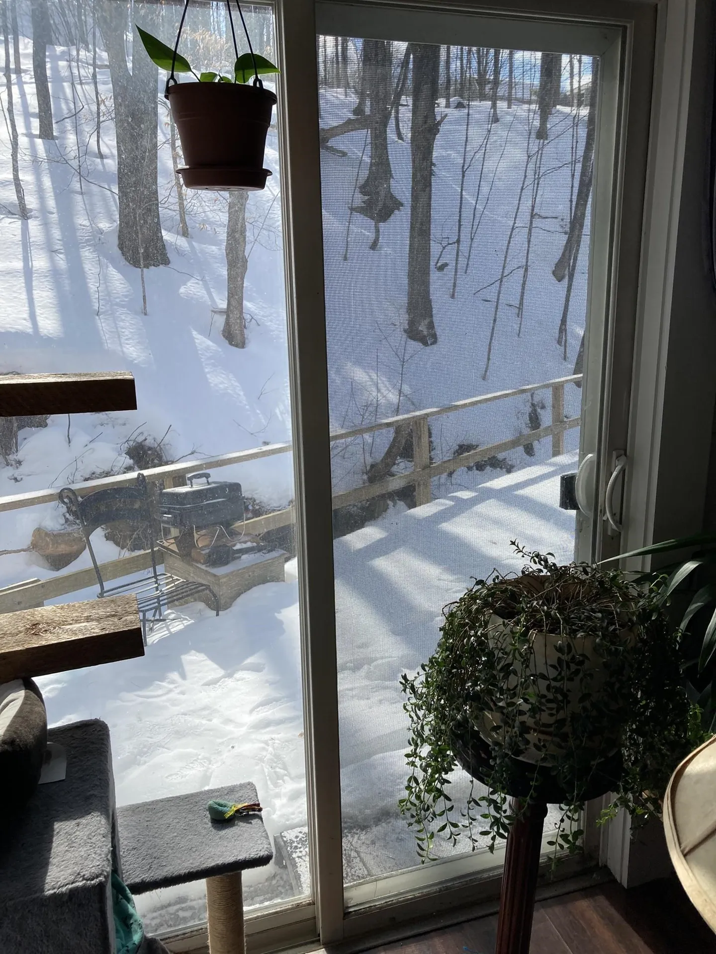 77 Pleasant Street Woodstock VT 05091