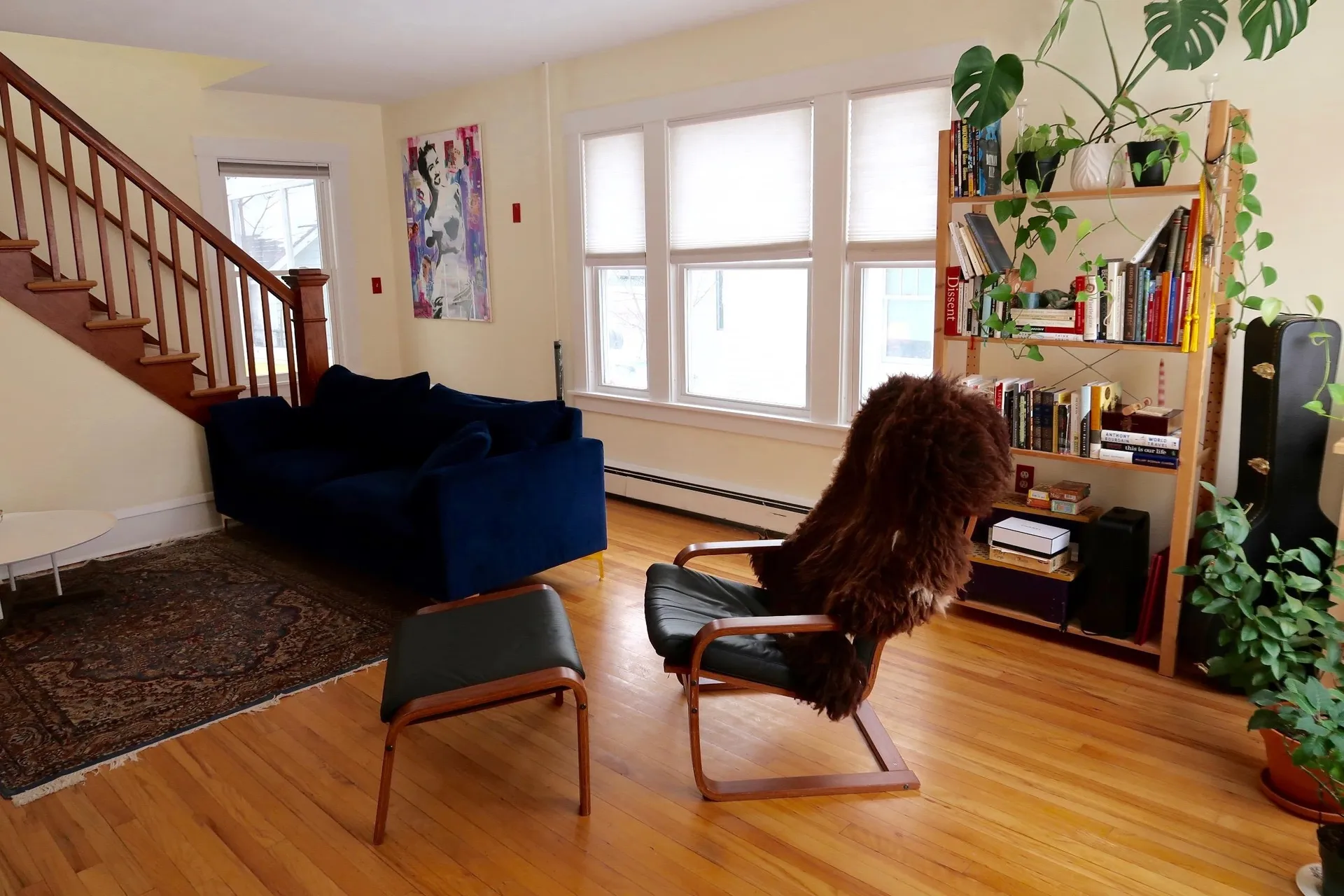 35 University Terrace Burlington VT 05401
