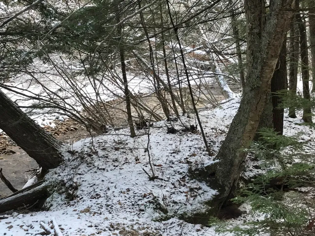 11 Conner Pond Road Ossipee NH 03864